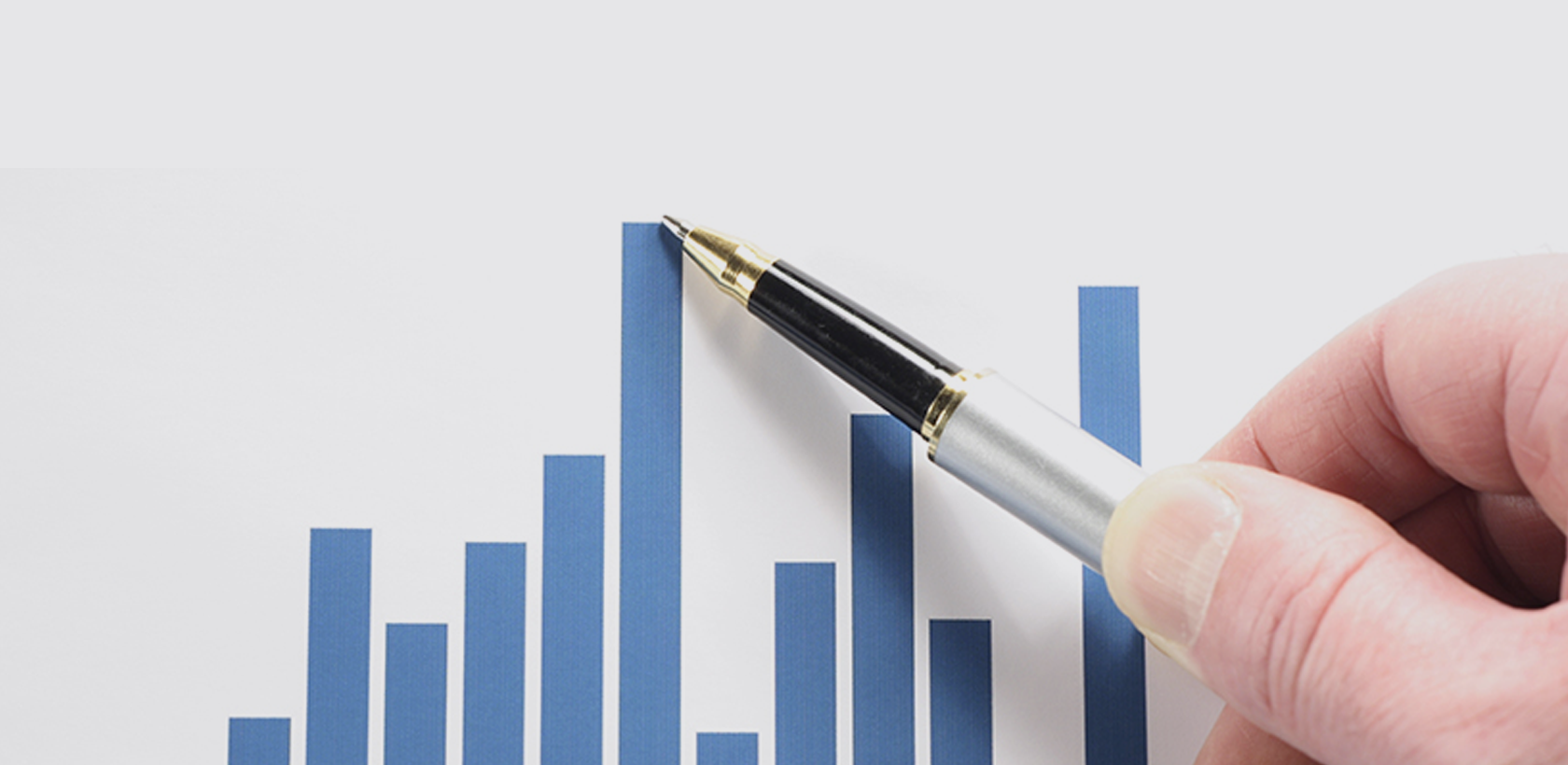 Diversification and Growth